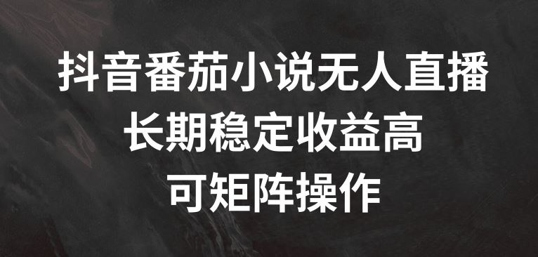 抖音番茄小说无人直播，长期稳定收益高，可矩阵操作【揭秘】-启航188资源站