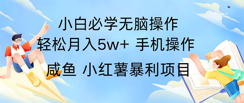 （11953期）2024热门暴利手机操作项目，简单无脑操作，每单利润最少500-启航188资源站