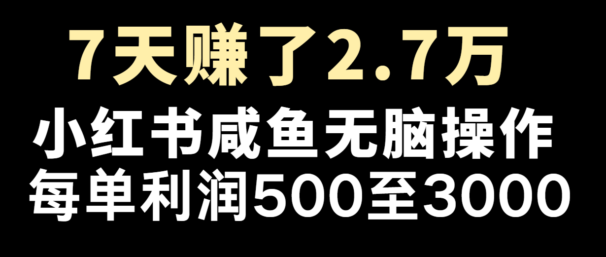 七天赚了2.7万！每单利润最少500+，轻松月入5万+小白有手就行-启航188资源站