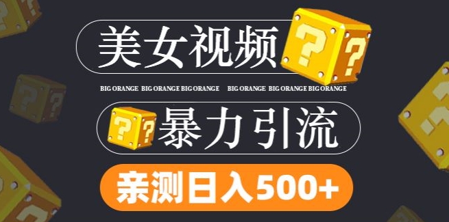 搬运tk美女视频全网分发，日引s粉300+，轻松变现，不限流量不封号-启航188资源站