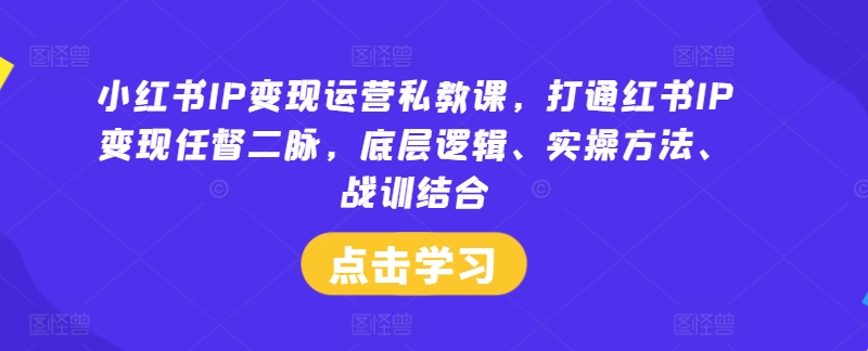 小红书IP变现运营私教课，打通红书IP变现任督二脉，底层逻辑、实操方法、战训结合-启航188资源站