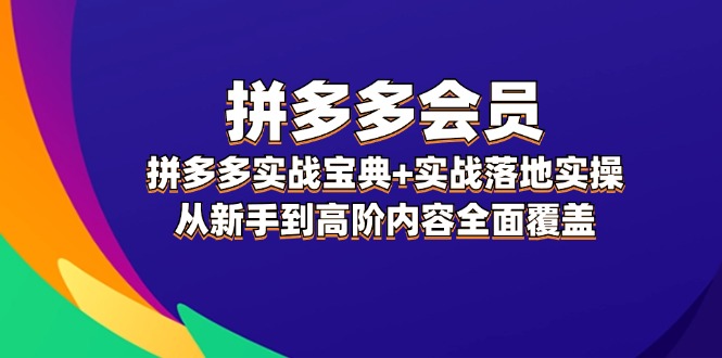 （12056期）拼多多 会员，拼多多实战宝典+实战落地实操，从新手到高阶内容全面覆盖-启航188资源站