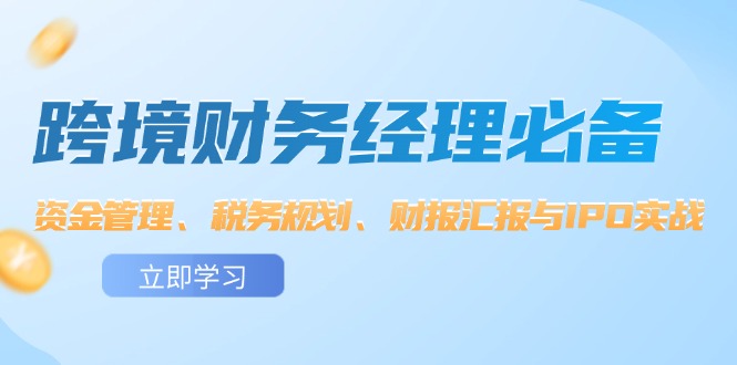 （12323期）跨境 财务经理必备：资金管理、税务规划、财报汇报与IPO实战-启航188资源站