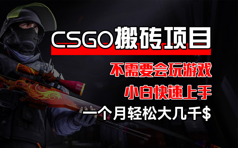 （12332期）CSGO 装备搬砖项目，操作简单，不需要会玩游戏，小白也能快速上手，一…-启航188资源站