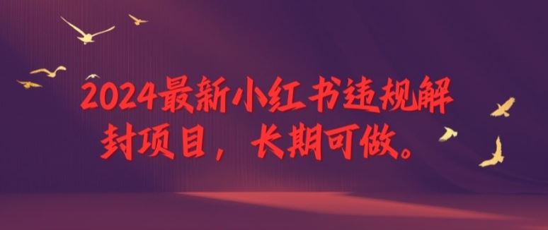 2024最新小红书违规解封项目，长期可做，一个可以做到退休的项目【揭秘】-启航188资源站