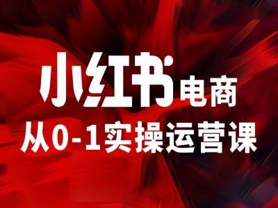 小红书电商从0-1实操运营课，让你从小白到精英-启航188资源站