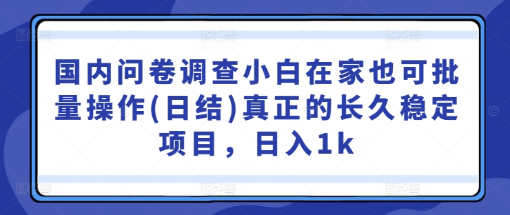 国内问卷调查小白在家也可批量操作(日结)真正的长久稳定项目，日入1k【揭秘】-启航188资源站