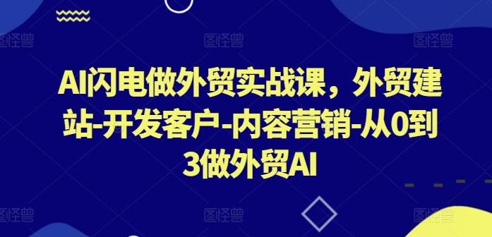 AI闪电做外贸实战课，​外贸建站-开发客户-内容营销-从0到3做外贸AI(更新)-启航188资源站