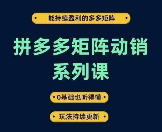 拼多多矩阵动销系列课，能持续盈利的多多矩阵，0基础也听得懂，玩法持续更新-启航188资源站