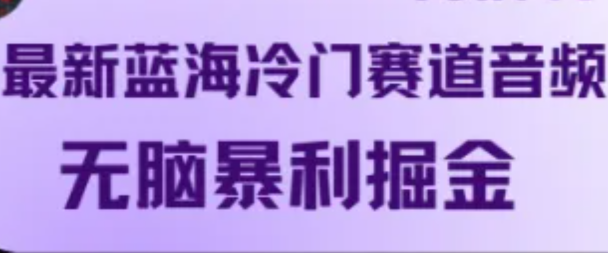 最新蓝海冷门赛道音频，无脑暴利掘金-启航188资源站