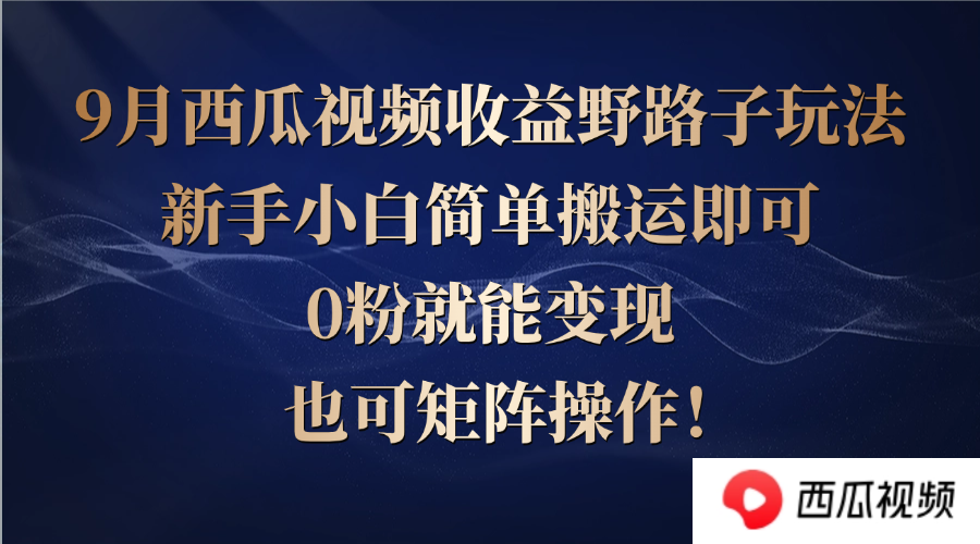 西瓜视频收益野路子玩法，新手小白简单搬运即可，0粉就能变现，也可矩…-启航188资源站