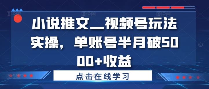 小说推文—视频号玩法实操，单账号半月破5000+收益-启航188资源站