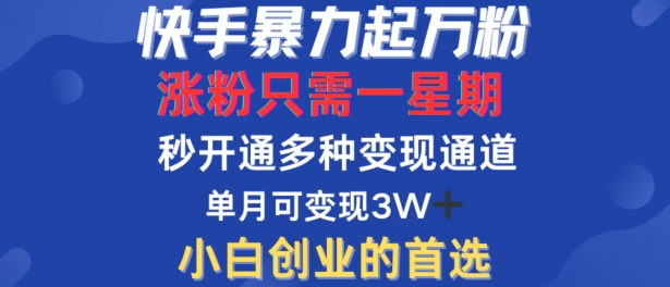 快手暴力起万粉，涨粉只需一星期，多种变现模式，直接秒开万合，单月变现过W【揭秘】-启航188资源站