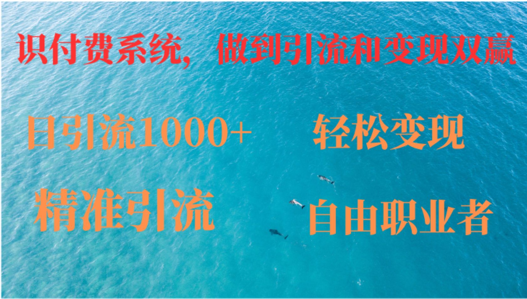 如何搭建自己的知识付费系统，做到引流和变现双赢-启航188资源站