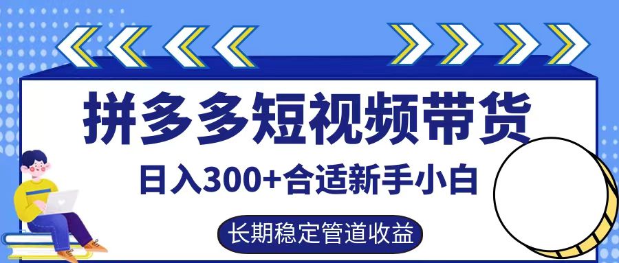 拼多多短视频带货日入300+，实操账户展示看就能学会-启航188资源站