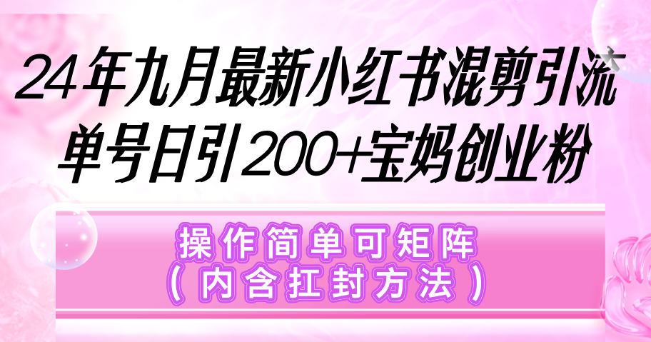 （12530期）小红书混剪引流，单号日引200+宝妈创业粉，操作简单可矩阵（内含扛封…-启航188资源站