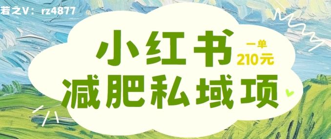 小红书减肥粉，私域变现项目，一单就达210元，小白也能轻松上手【揭秘】-启航188资源站