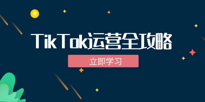 TikTok实战运营全攻略：从下载软件到变现，抖音海外版实操教程-启航188资源站