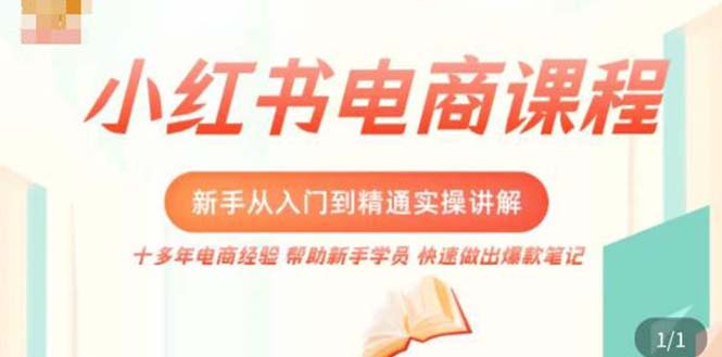 小红书电商新手入门到精通实操课，从入门到精通做爆款笔记，开店运营-启航188资源站