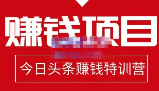 懒人领域·今日头条项目玩法，头条中视频项目，单号收益在50—500可批量￼-启航188资源站