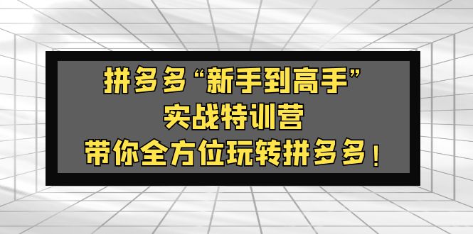 拼多多“新手到高手”实战特训营：带你全方位玩转拼多多！-启航188资源站