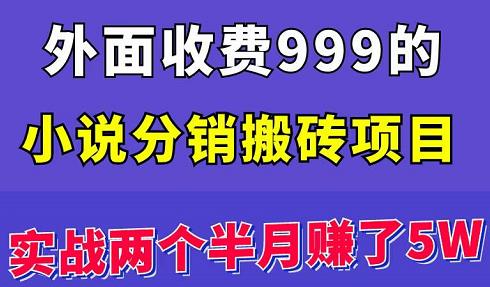 外面收费999的小说分销搬砖项目：实战两个半月赚了5W块，操作简单！￼-启航188资源站