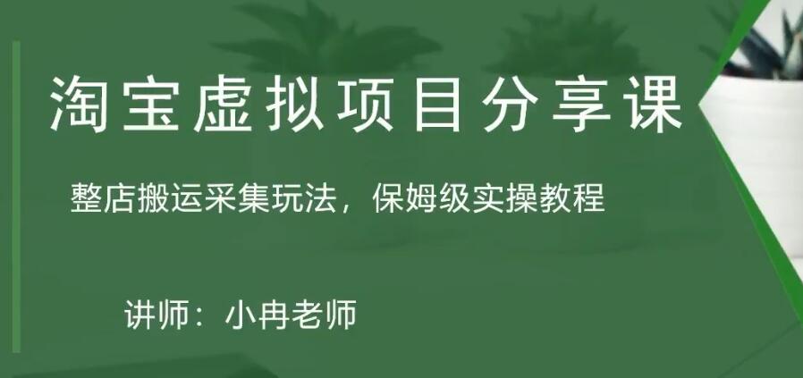 淘宝虚拟整店搬运采集玩法分享课：整店搬运采集玩法，保姆级实操教程-启航188资源站