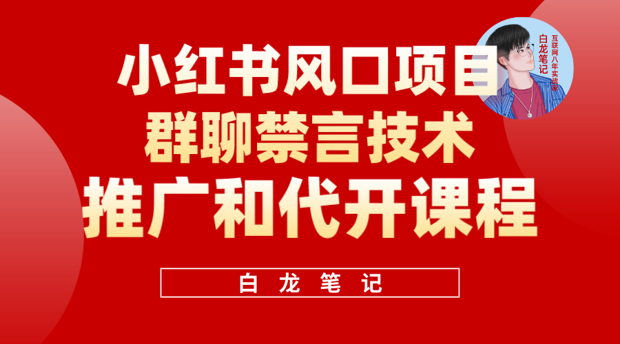 小红书风口项目日入300+，小红书群聊禁言技术代开项目，适合新手操作-启航188资源站