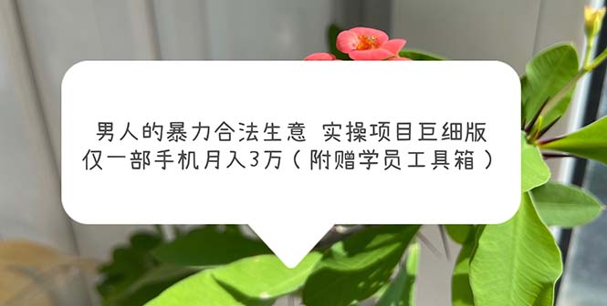 男人的暴力合法生意实操项目巨细版：仅一部手机月入3w（附赠学员工具箱）-启航188资源站