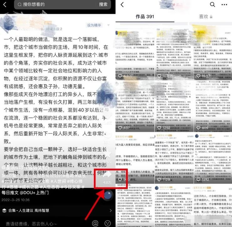 分享两个可以赚钱的项目，零门槛新手就可做