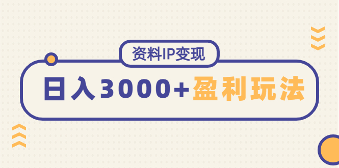 （4576期）资料IP变现，能稳定日赚3000起的持续性盈利玩法-启航188资源站