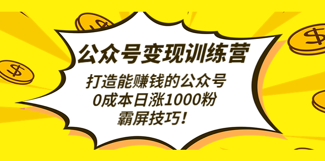 （4585期）公众号变现训练营（第3期）打造能赚钱的公众号，0成本日涨1000粉，霸屏技巧-启航188资源站