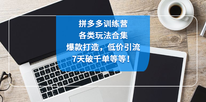 （4693期）拼多多训练营：各玩法合集，爆款打造，低价引流，7天破千单等等！-启航188资源站