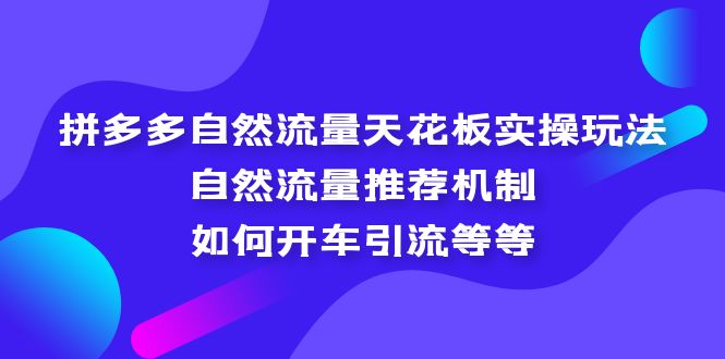 （5327期）拼多多自然流量天花板实操玩法：自然流量推荐机制，如何开车引流等等-启航188资源站