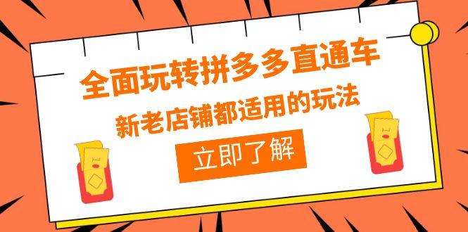 （6294期）全面玩转拼多多直通车，新老店铺都适用的玩法（12节精华课）-启航188资源站