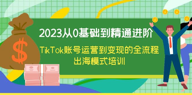 （6299期）2023从0基础到精通进阶，TikTok账号运营到变现的全流程出海模式培训-启航188资源站