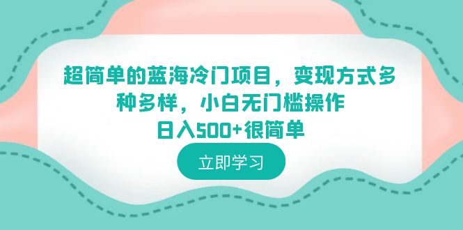 （6422期）超简单的蓝海冷门项目，变现方式多种多样，小白无门槛操作日入500+很简单-启航188资源站