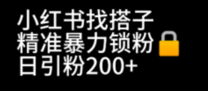 （6807期）小红书找搭子暴力精准锁粉+引流日引200+精准粉-启航188资源站