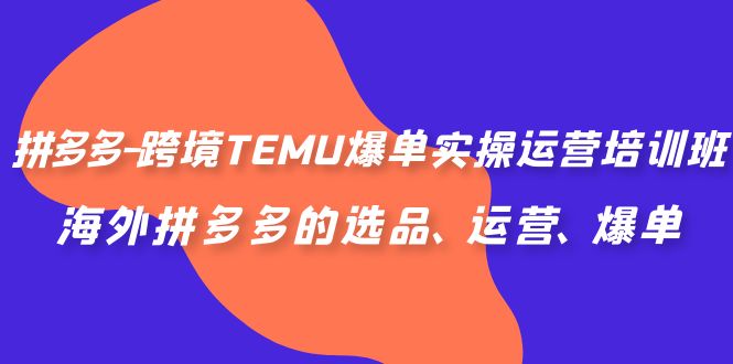 （6934期）拼多多-跨境TEMU爆单实操运营培训班，海外拼多多的选品、运营、爆单-启航188资源站