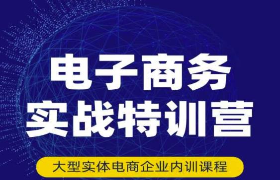 民赛电气内部出品：电子商务实战特训营，全方位带你入门电商，308种方式玩转电商-启航188资源站