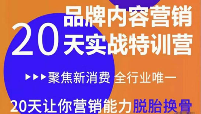 《内容营销实操特训营》20天让你营销能力脱胎换骨（价值3999）-启航188资源站