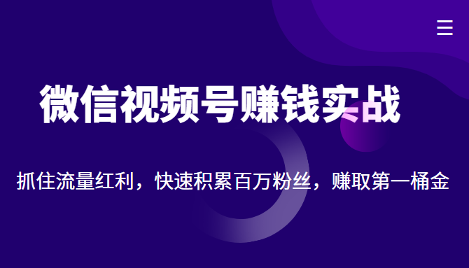 微信视频号赚钱实战：抓住流量红利，快速积累百万粉丝，赚取你的第一桶金-启航188资源站