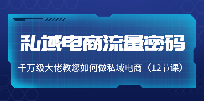 私域电商流量密码：千万级大佬教您如何做私域电商（12节课）-启航188资源站