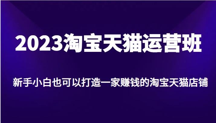 2023淘宝天猫运营班，新手小白也可以打造一家赚钱的淘宝天猫店铺-启航188资源站