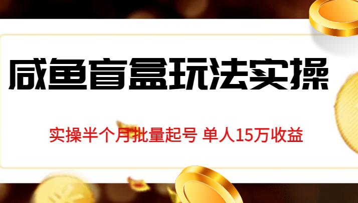 独家首发咸鱼盲盒玩法实操，半个月批量起号单人15万收益揭秘-启航188资源站