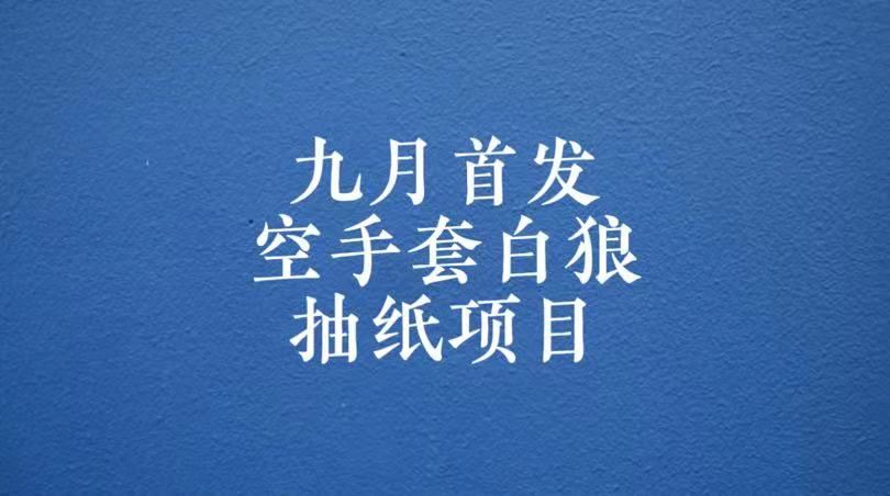 0成本，日入100-500空手套白狼抽纸项目，保姆级教学-启航188资源站