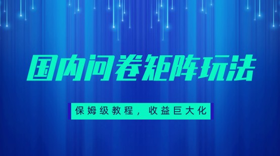 保姆级教程，国内问卷矩阵玩法，轻松赚收益-启航188资源站