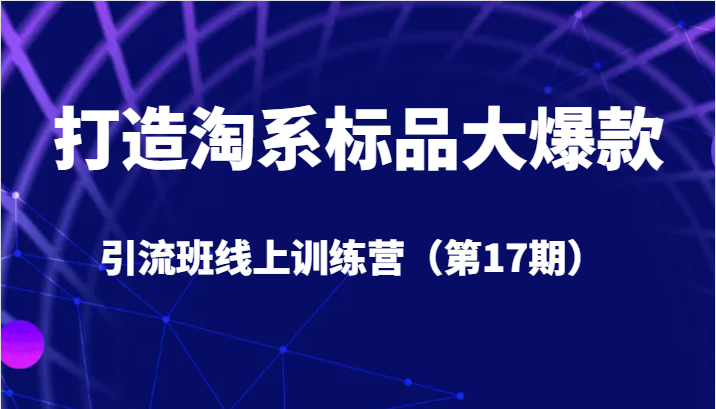 打造淘系标品大爆款引流班线上训练营（第17期）5天直播授课+1个月答疑-启航188资源站