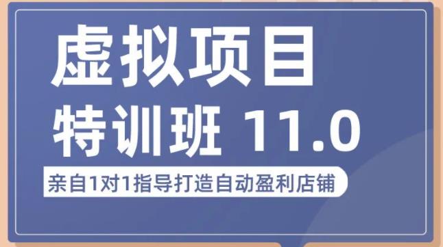 陆明明·虚拟项目特训班（10.0+11.0），0成本获取虚拟素材，0基础打造自动盈利店铺-启航188资源站