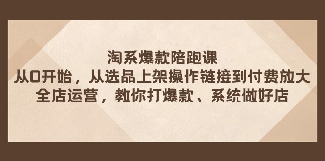 淘系爆款陪跑课 从选品上架操作链接到付费放大 全店运营 打爆款 系统做好店-启航188资源站